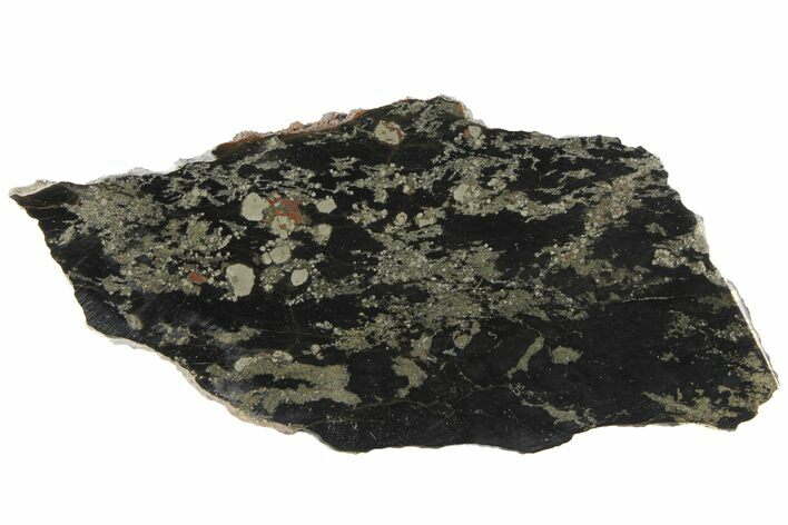 Apache Gold (Polished Chalcopyrite) Slab - Arizona #93809